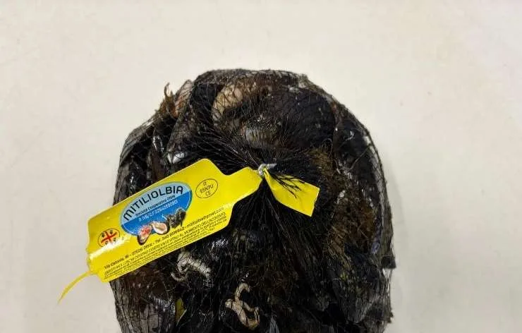 Immagine 1 del prodotto MITILI O COZZE (Mytilus galloprovincialis)