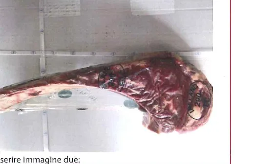 Immagine 2 del prodotto TOMAHAWAK di bovino adulto