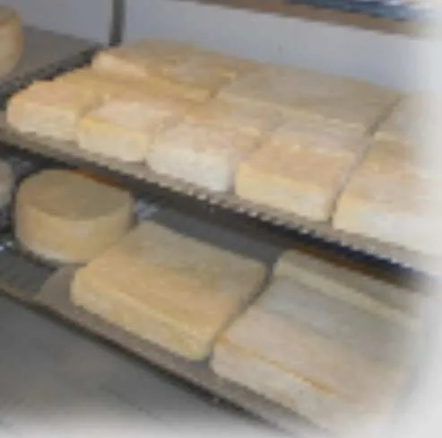 Immagine del prodotto STRACCHINO Colli di S. Fermo - Formaggio a latte crudo