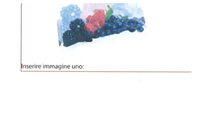 Confezione di Frutti di bosco congelati g 300