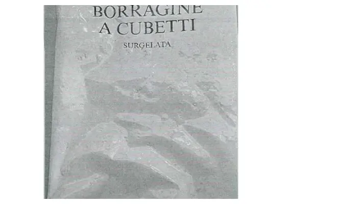 Confezione di Borragine a cubetti surgelata 2,5kg