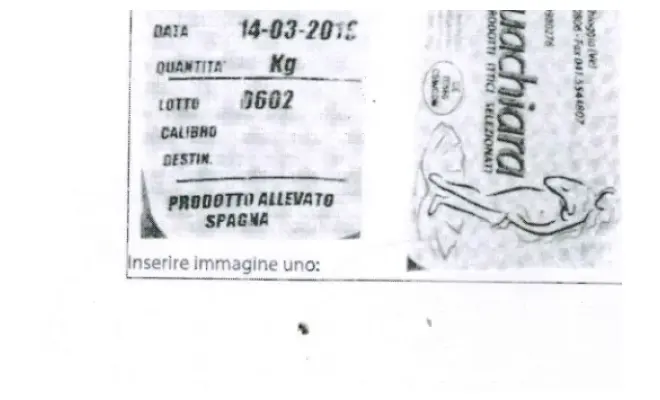 Confezione di COZZE SPAGNA