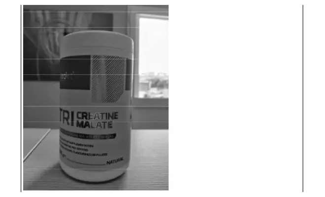 Confezione di Tri Creatine Malate gusto natural