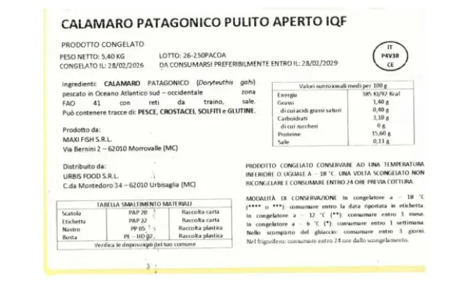 Confezione di Calamaro patagonico pulito aperto