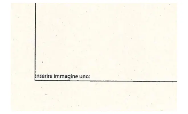 Confezione di SESAMO BIANCO ORIGINE INDIA