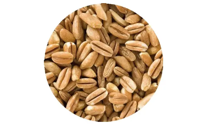 Confezione di GALLETTE DI FARRO