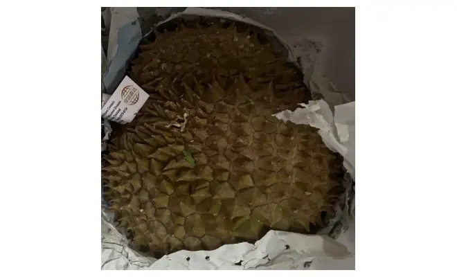 Confezione di Durian