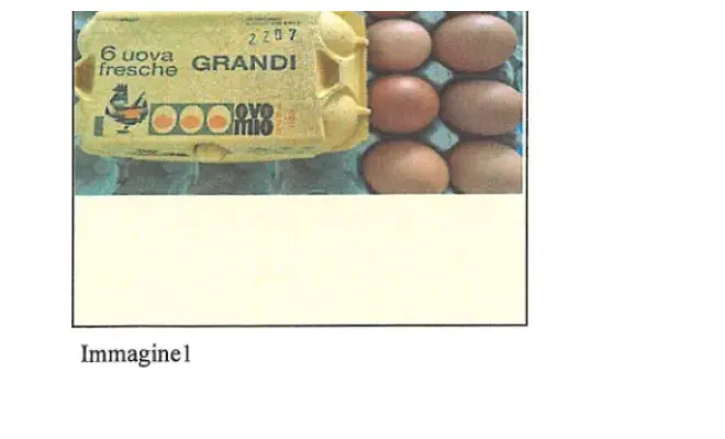 Confezione di UOVA FRESCHE Cat.A