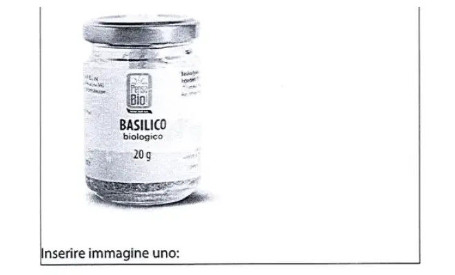 Confezione di Basilico foglia biologico