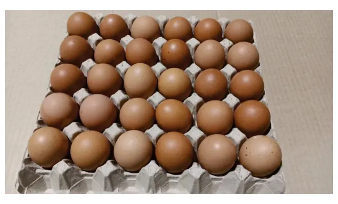 Confezione di Uova fresche da allevamento a terra Cat A