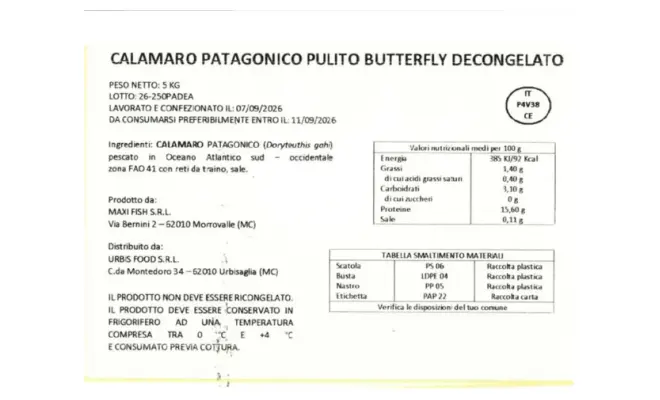 Confezione di Calamaro patagonico pulito butterfly decongelato