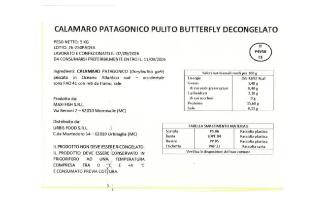 Confezione di Calamaro patagonico pulito butterfly decongelato