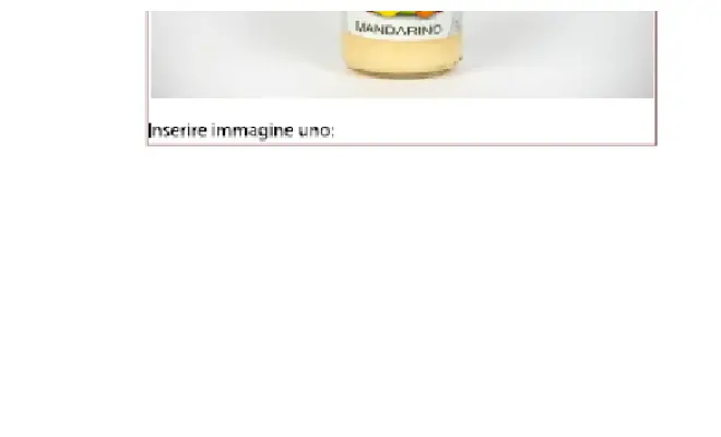 Confezione di SORBETTO ARTIGIANALE MANDARINO