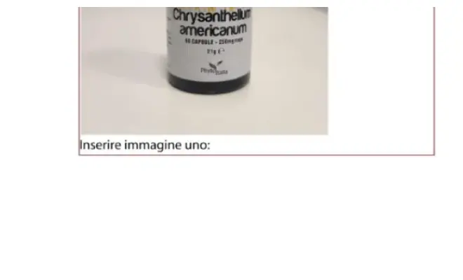 Confezione di Chrysanthellum americanum