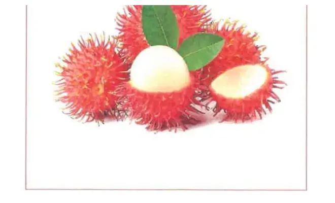 Confezione di RAMBUTAN THAILANDIA