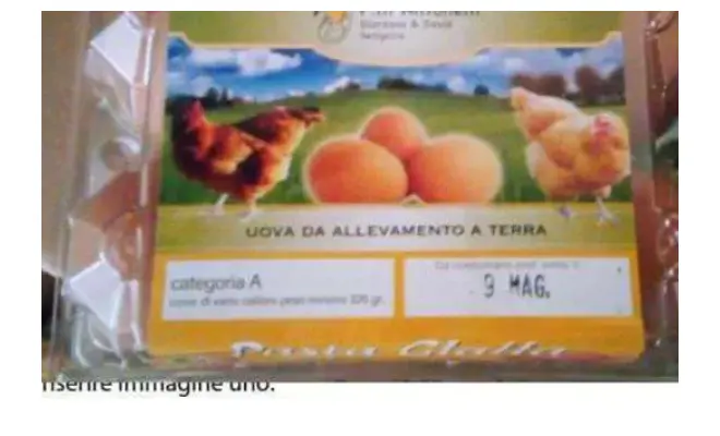Confezione di Pasta Gialla Uova da allevamento a terra