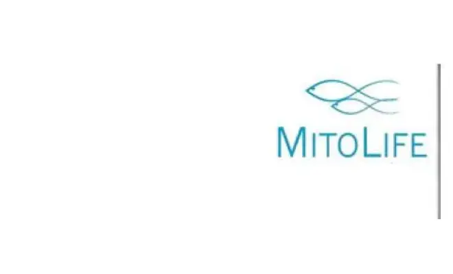 Confezione di MITOLIFE PS