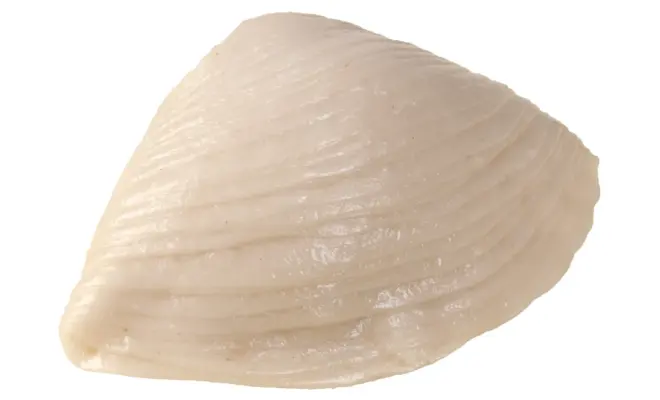 Confezione di SFOGLIATA MIGNON
