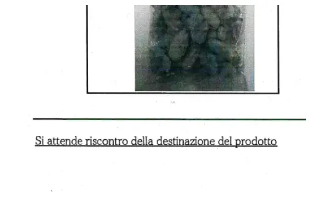 Confezione di COSCE DI RANA CONGELATE