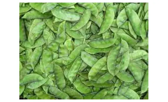 Confezione di Verdura seems (COUNTRY BEANS) Verdura Fresca