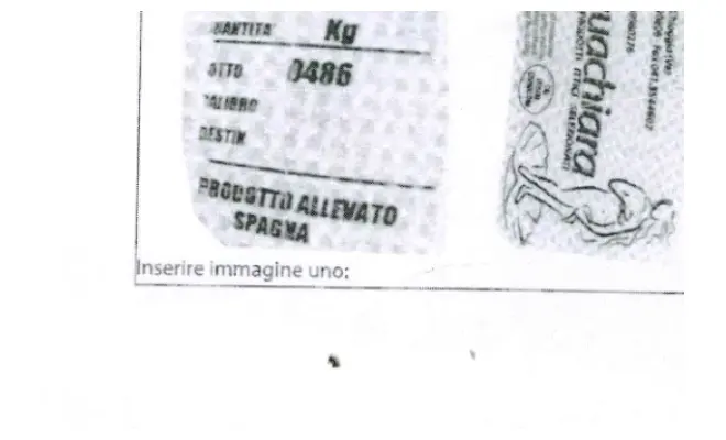 Confezione di COZZE SPAGNA