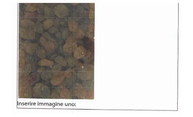 Confezione di UVA GOLDEN JUMBO