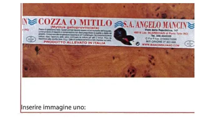 Confezione di MYTILUS GALLOPROVINCIALIS