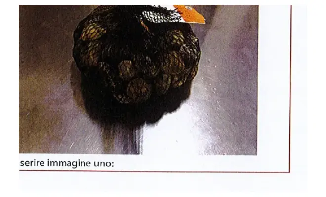 Confezione di Vongole veraci nostrane (Ruditapes decussatus)