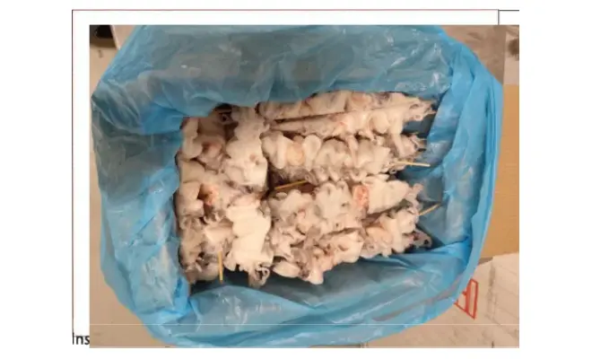 Confezione di Spiedino di calamaro patagonico e gambero argentino