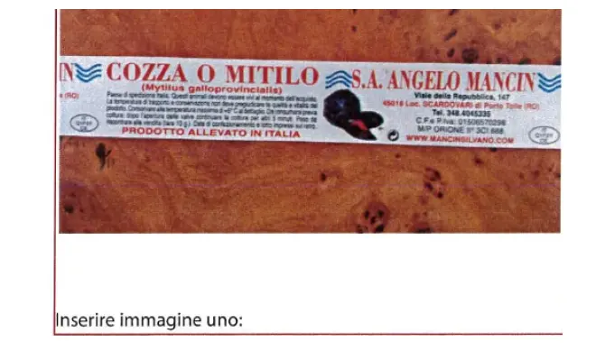Confezione di MYTILUS GALLOPROVINCIALIS