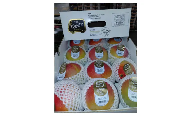 Confezione di Mango varietà Kent origine Perù