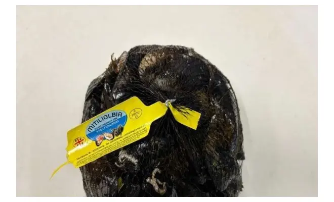 Confezione di MITILI O COZZE (Mytilus galloprovincialis)