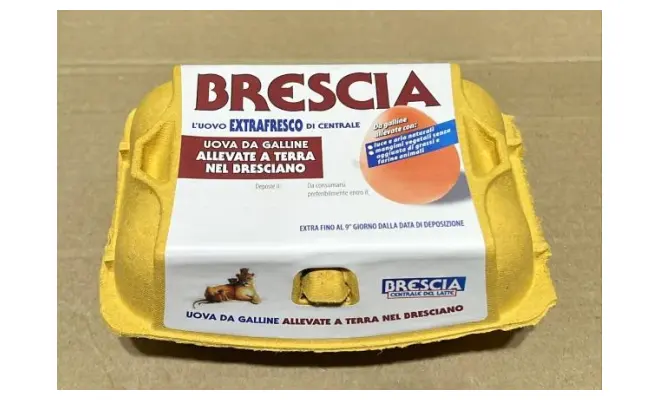 Confezione di 6 UOVA EXTRA FRESCHE DA ALLEVAMENTO A TERRA